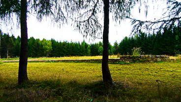 Kleinkastell Hillscheid