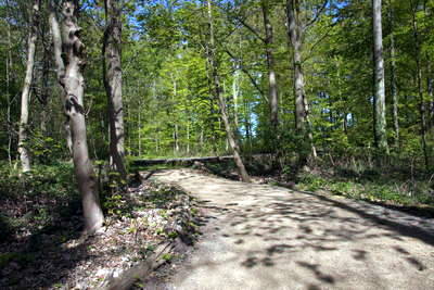 Kleinkastell Holzheimer Unterwald