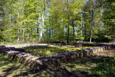Kleinkastell Holzheimer Unterwald