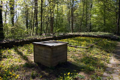 Kleinkastell Holzheimer Unterwald