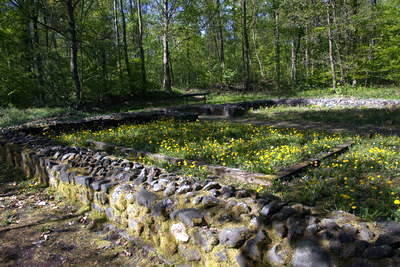 Kleinkastell Holzheimer Unterwald
