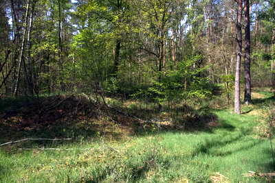 Kleinkastell Neuwirtshaus Hanau