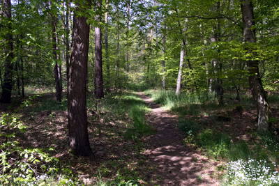 Kleinkastell Neuwirtshaus Hanau