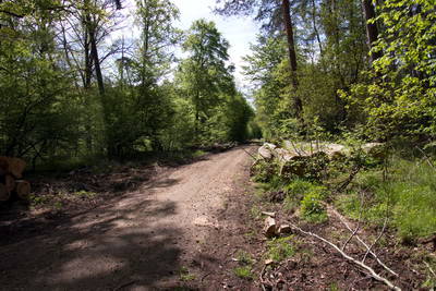 Kleinkastell Neuwirtshaus Hanau