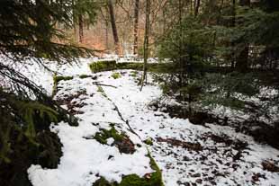 Kleinkastell Robern (Hönehaus)