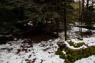 Kleinkastell Robern (Hönehaus)