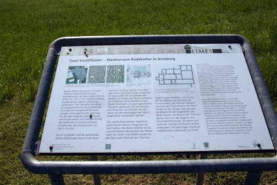 Kohortenkastell Arnsburg