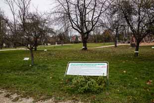 Köngen Kastell und Vicus