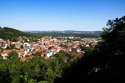Landstuhl Burg Nanstein Relief