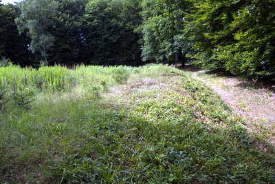 Limes Wachtposten WP 1-10 bei Rheinbrohl