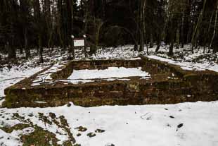 Limes Wachturm Mauerreste Michelstadt