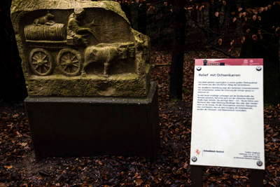 Limes im Rotenbachtal