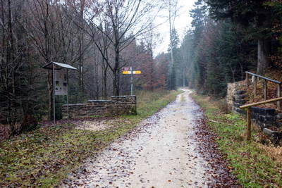 Limes im Rotenbachtal