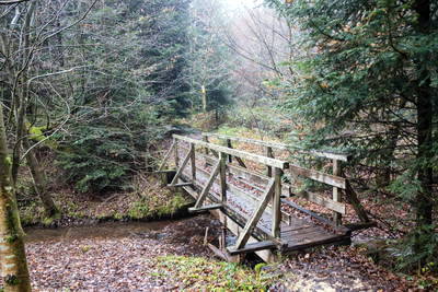 Limes im Rotenbachtal