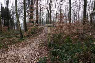 Limesblick und Limeswanderweg Zweiflingen