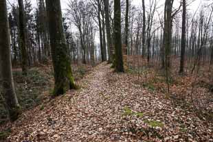 Limesblick und Limeswanderweg Zweiflingen