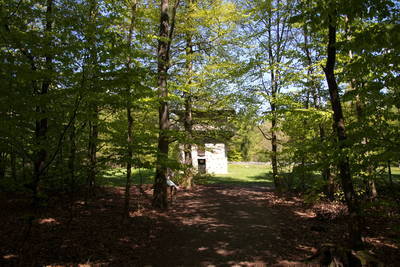 Limespalisade am Wp 3-15 mit Wachturm