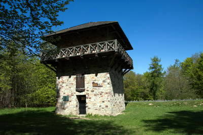 Limespalisade am Wp 3-15 mit Wachturm