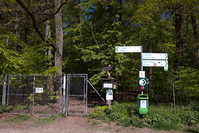 Limespalisade am Wp 3-15 mit Wachturm und Amphitheater