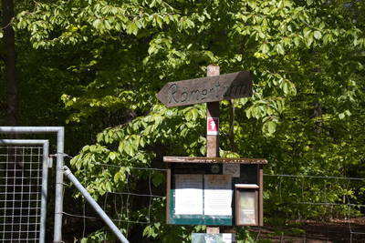 Limespalisade am Wp 3-15 mit Wachturm und Amphitheater