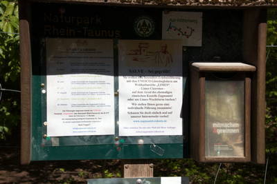 Limespalisade am Wp 3-15 mit Wachturm und Amphitheater