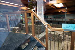 Museum Römervilla Grenzach-Wyhlen