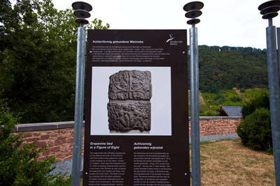 Neumagen - Relief Weinrebe