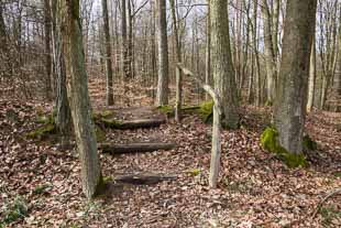 Numeruskastell Lützelbach (Odenwaldlimes)