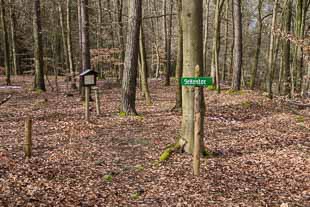 Numeruskastell Lützelbach (Odenwaldlimes)
