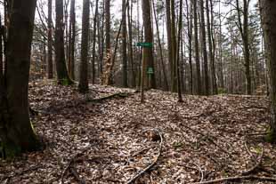 Numeruskastell Lützelbach (Odenwaldlimes)