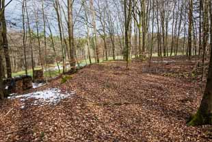 Numeruskastell Lützelbach (Odenwaldlimes)