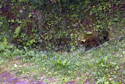 Quellfassung Grüner Putz der Eifelwasserleitung