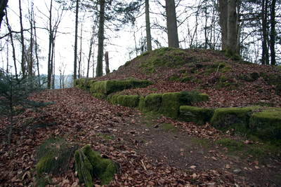 Ruine Heidelsburg - Mauerreste