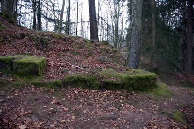 Ruine Heidelsburg - Mauerreste