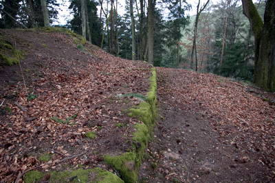 Ruine Heidelsburg - Mauerreste