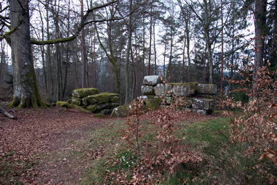 Ruine Heidelsburg - Tor
