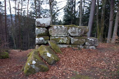 Ruine Heidelsburg - Tor