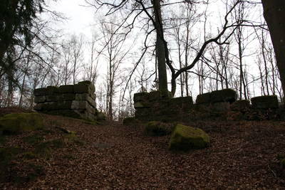 Ruine Heidelsburg - Tor