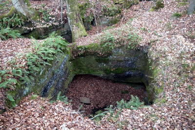 Ruine Heidelsburg - Zisterne