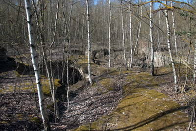 Römerbergwerk Meurin