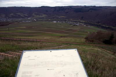 Römergräber Nehren