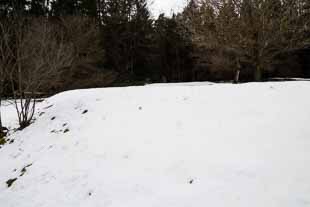 Römerkastell - Römerbad Würzberg