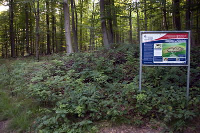 Römerlager Hedemünden