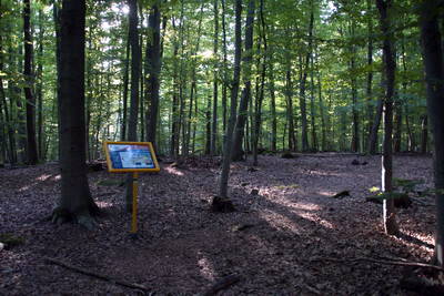 Römerlager Hedemünden