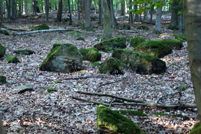 Römerlager Hedemünden