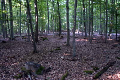 Römerlager Hedemünden