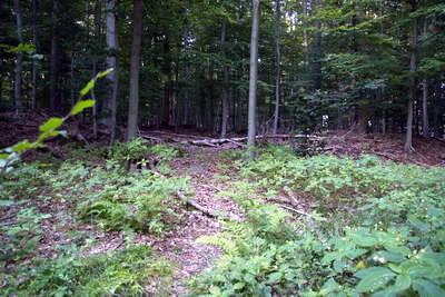 Römerlager Hedemünden