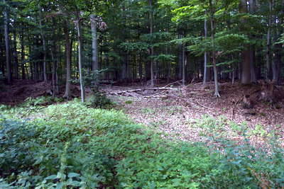 Römerlager Hedemünden