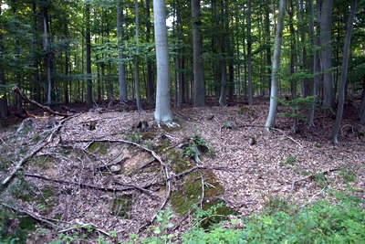 Römerlager Hedemünden