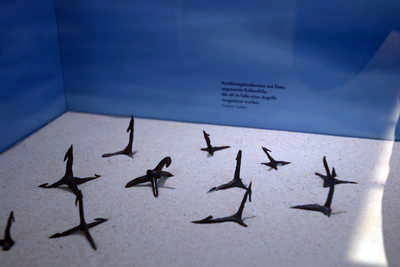 Römermuseum Haltern - Römerlager